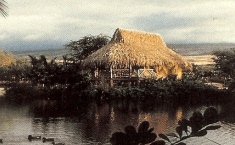 thatch roof